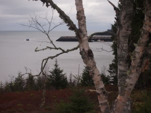 Lobster boats coming into the harbour